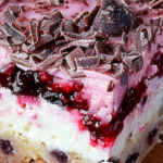Barras de pastel de frambuesa y chocolate amargo